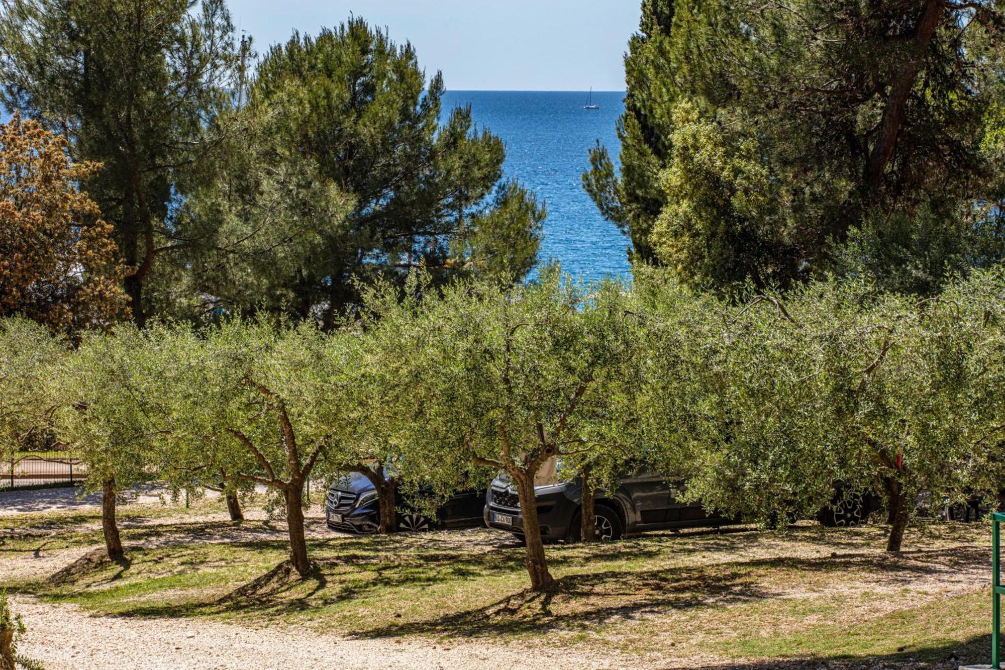 Kamp Porton Nature Hideouts Pitches Rovinj